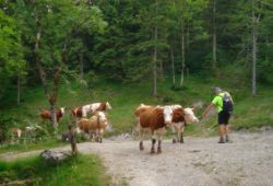 2013-07-20_Regina-F-Rau_Kochel-Rabenkopf (530)b.JPG